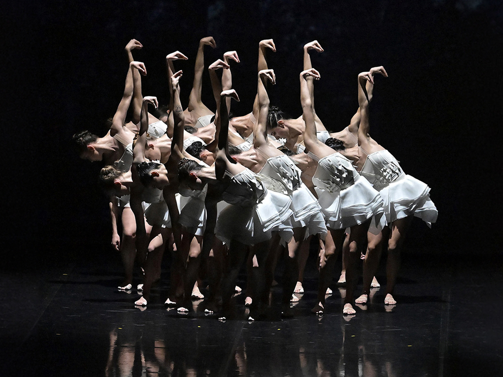 Ballet Preljocaj - Swan Lake: What to expect - 2