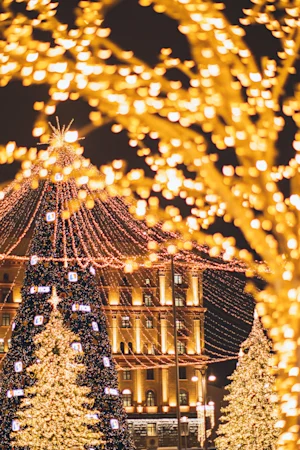 Manhattan Christmas Lights Tour by Foot & Train tickets