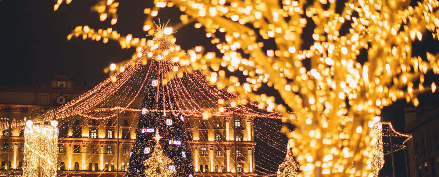Dyker Heights Christmas Lights Tour: What to expect - 1