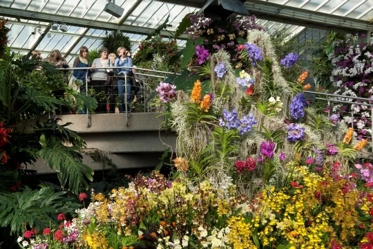 Kew Gardens from 1st Apr: What to expect - 6