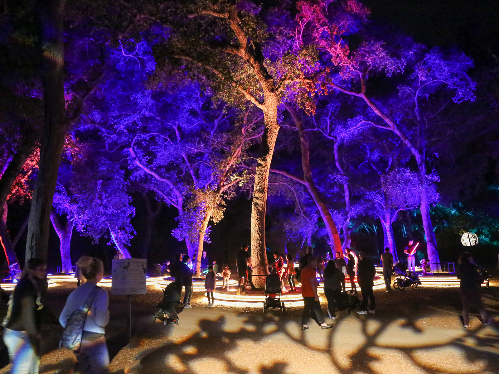 Carved: What to expect - 4