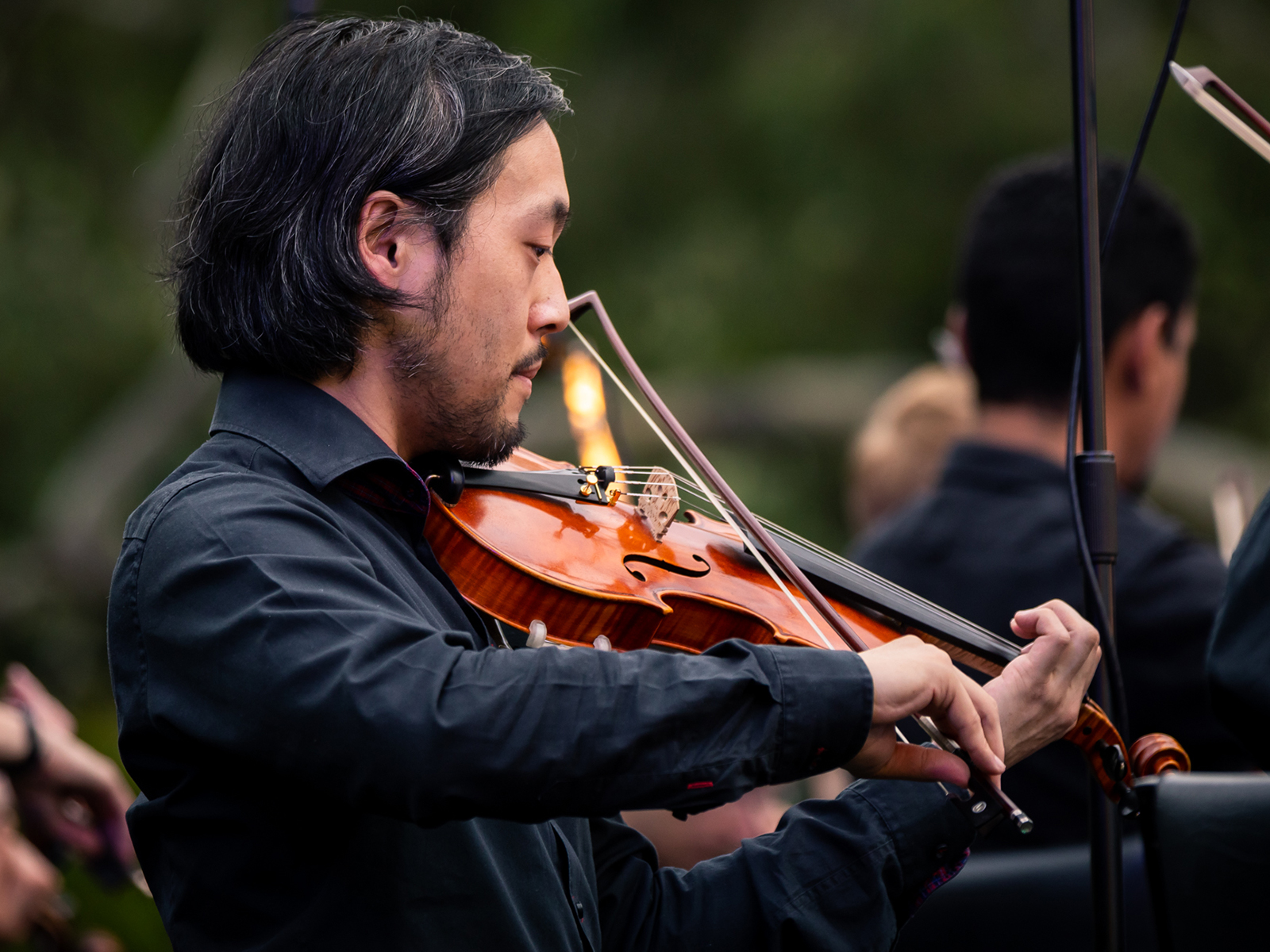 Mozart By Moonlight presented by The Australian Shakespeare Company: What to expect - 4