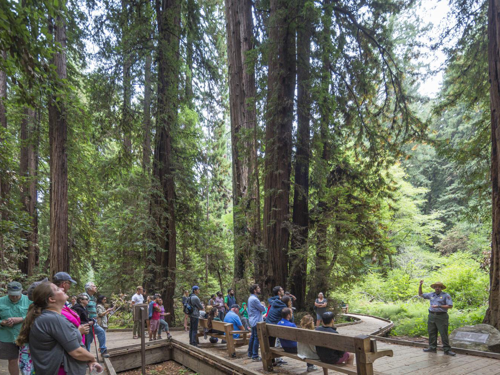 Muir Woods & Sausalito Tour (with Return Ferry): What to expect - 2