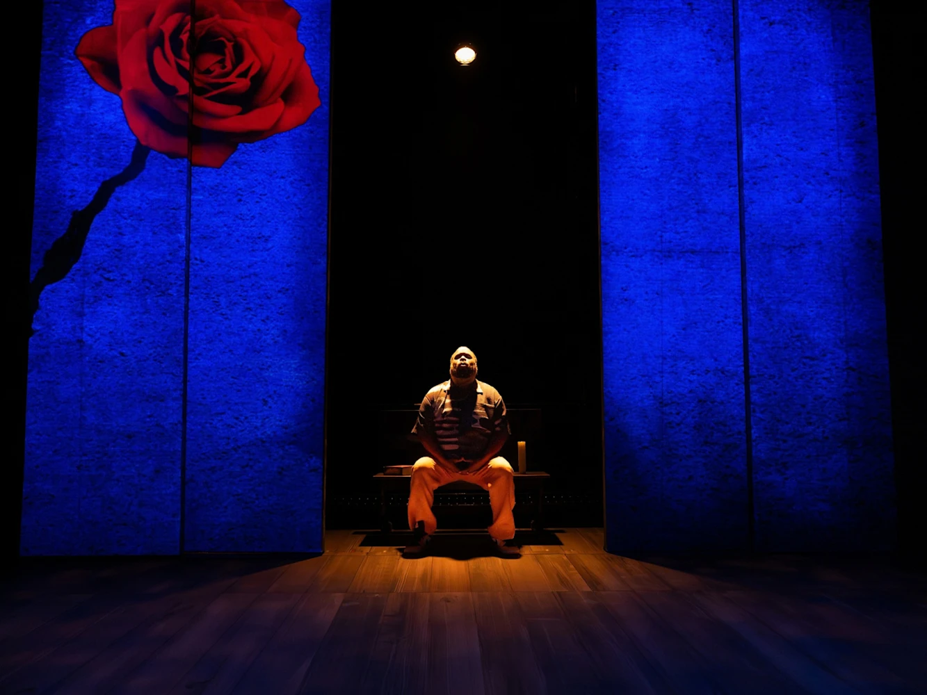 How Shakespeare Saved My Life - Joseph Papp Free First Performance Accessible Lottery: What to expect - 1
