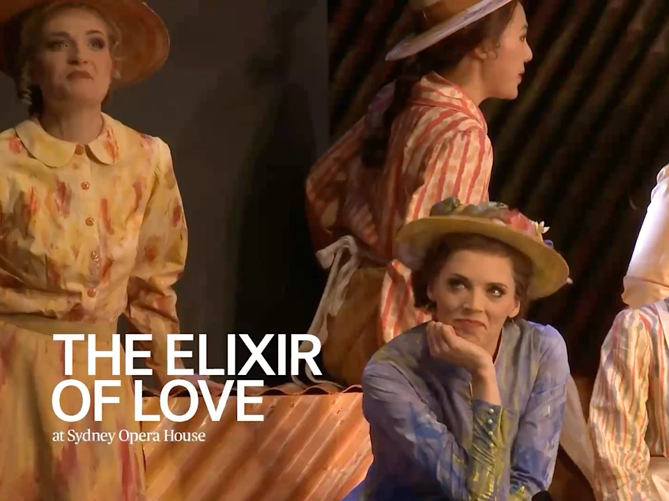 The Elixir of Love: What to expect - 1