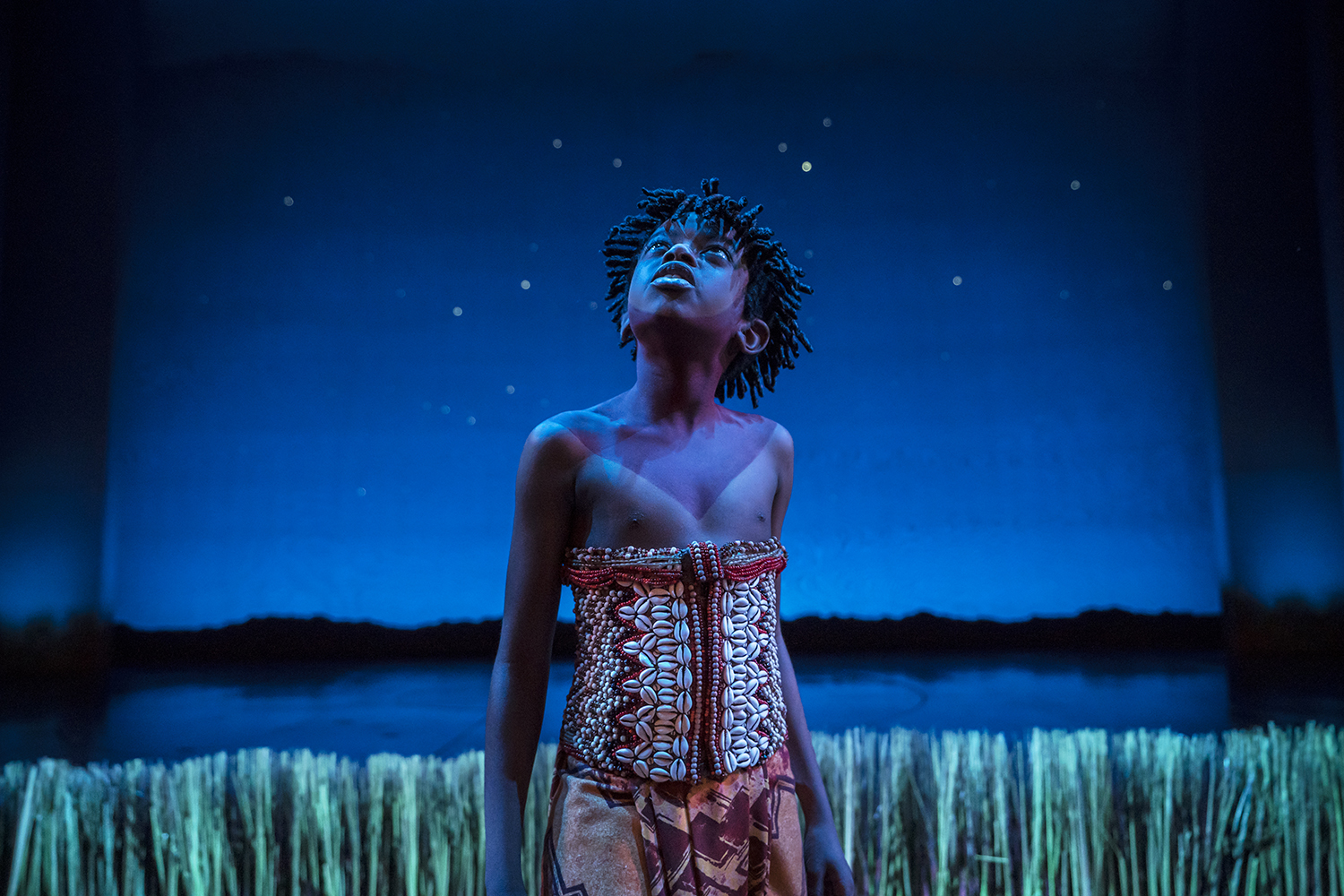 The Lion King: What to expect - 2