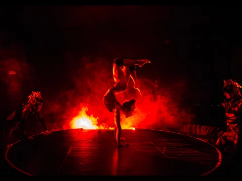 Production photo of MOONRISE: An Immersive Theatrical Experience at The Paradise Club in New York, showing a performer balances on one hand in a contortion pose on a dimly lit stage.