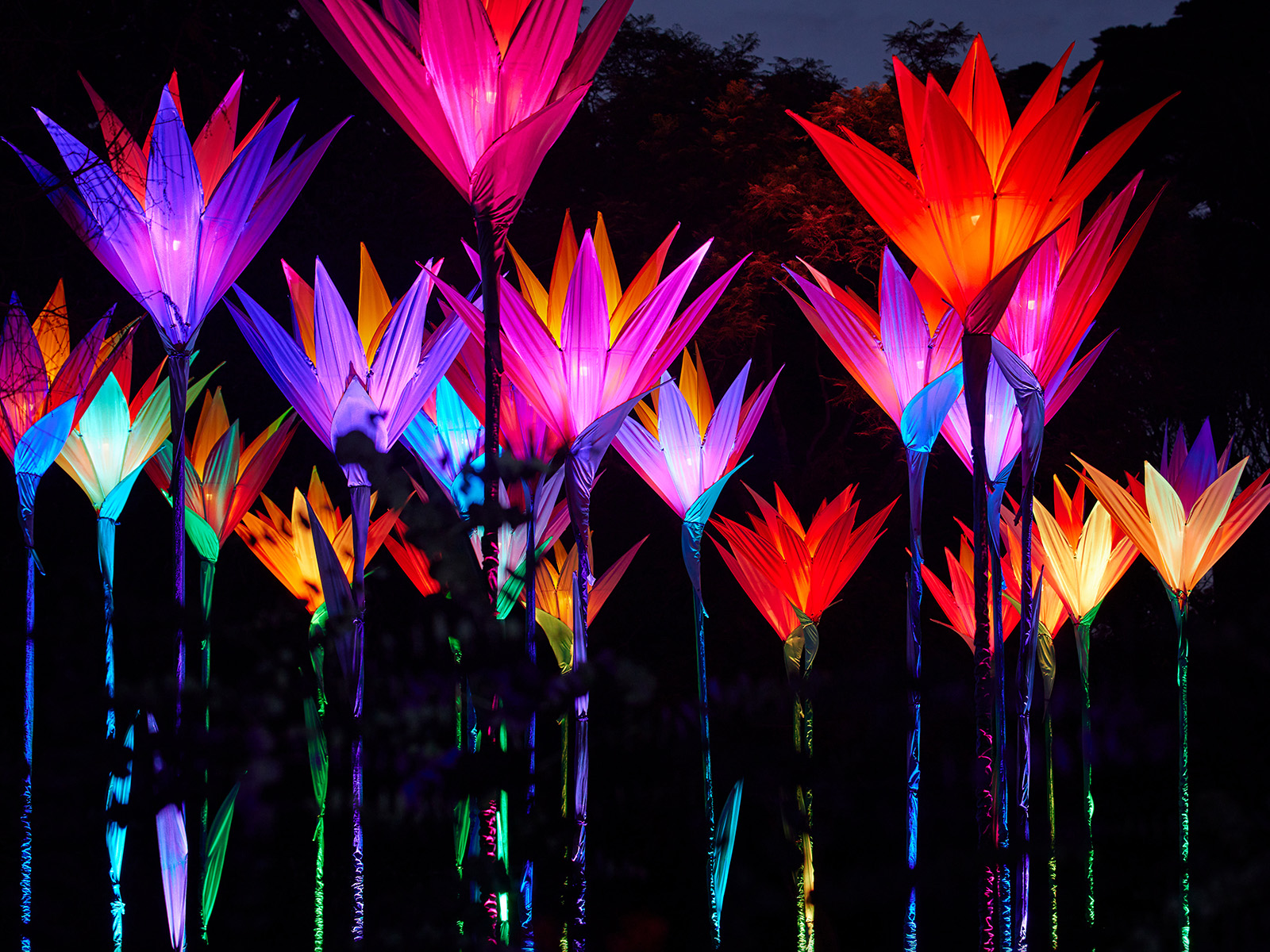 Lightscape - San Diego: What to expect - 1