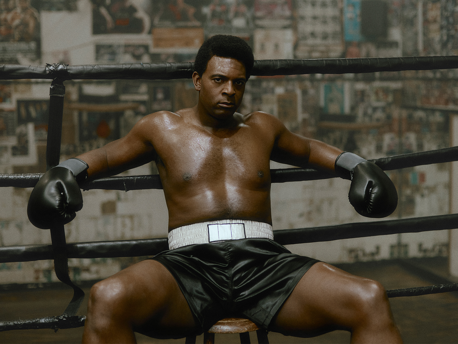 Champion: What to expect - 1