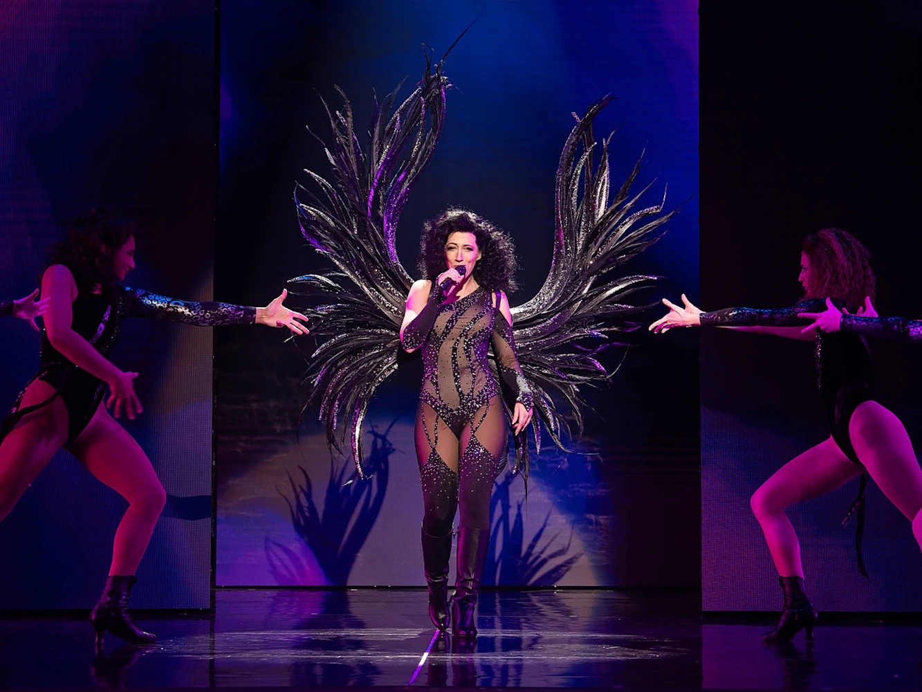 The Cher Show Tickets New Brunswick Goldstar