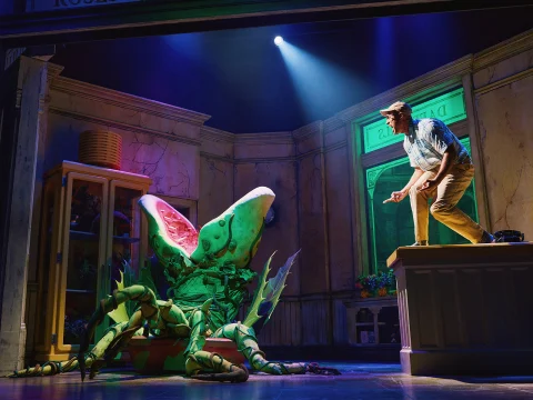 Little Shop of Horrors: What to expect - 3