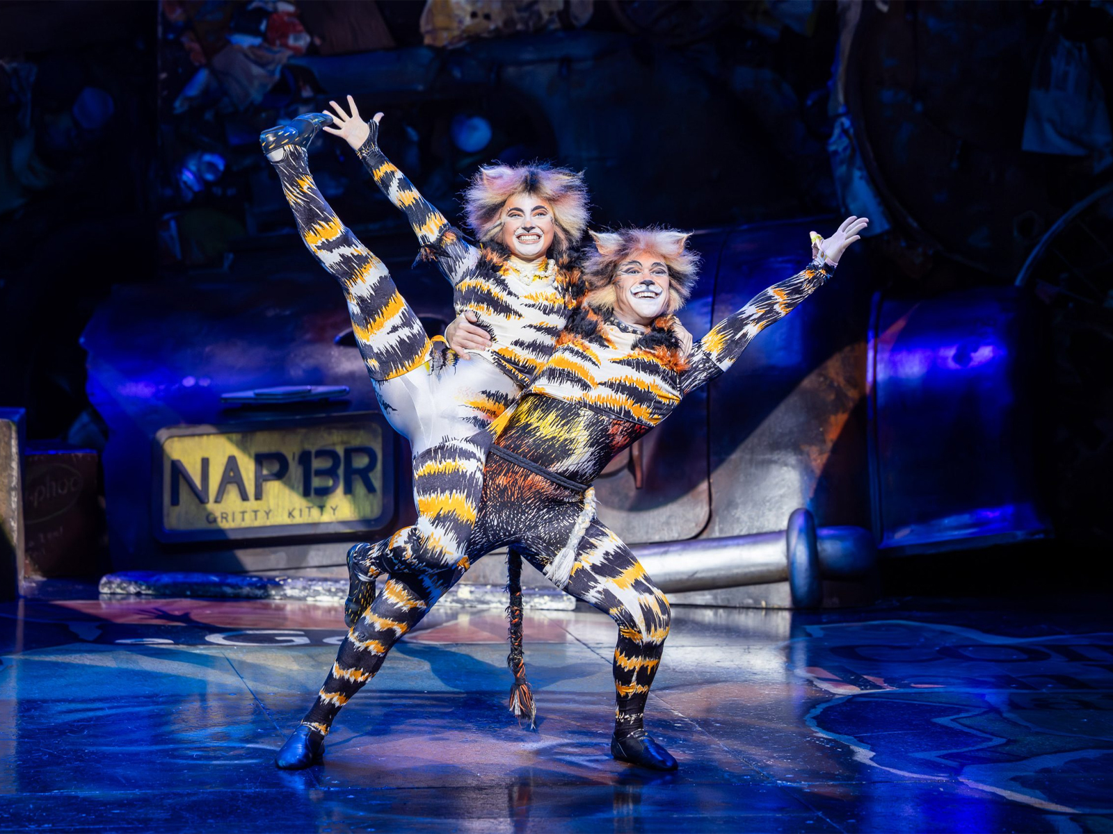 CATS: What to expect - 3