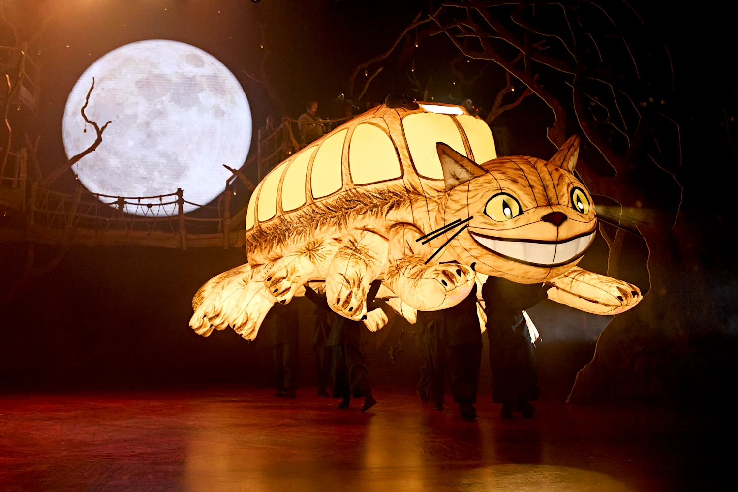 My Neighbour Totoro: What to expect - 3