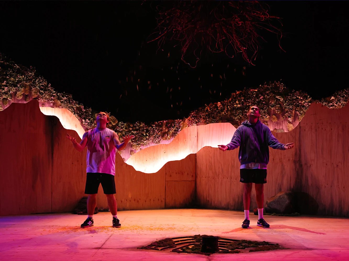 Whitefella Yella Tree: What to expect - 2