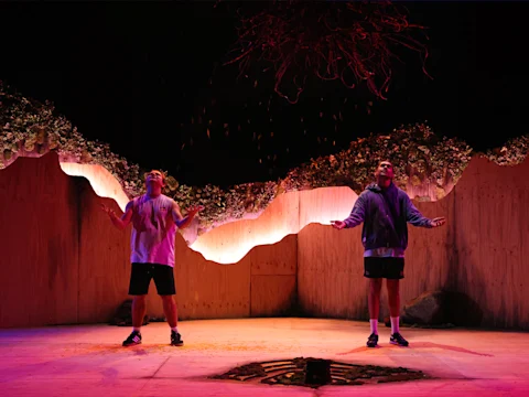 Whitefella Yella Tree: What to expect - 2