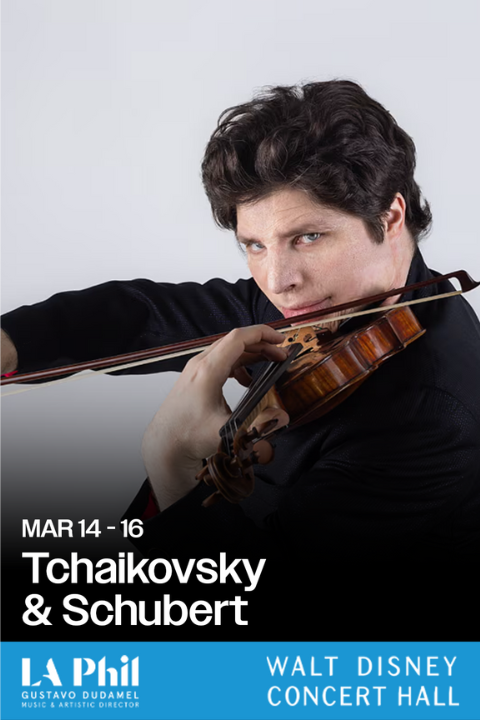 Tchaikovsky & Schubert show poster