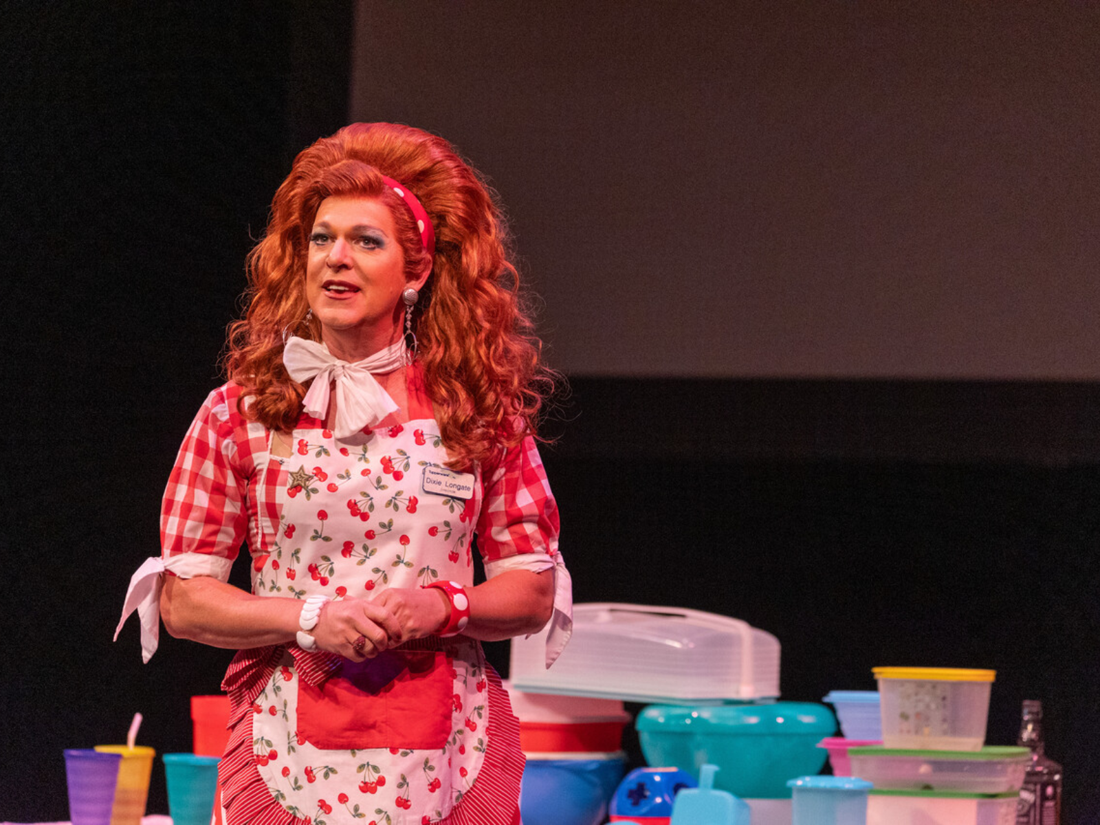 Dixie's Tupperware Party: What to expect - 3