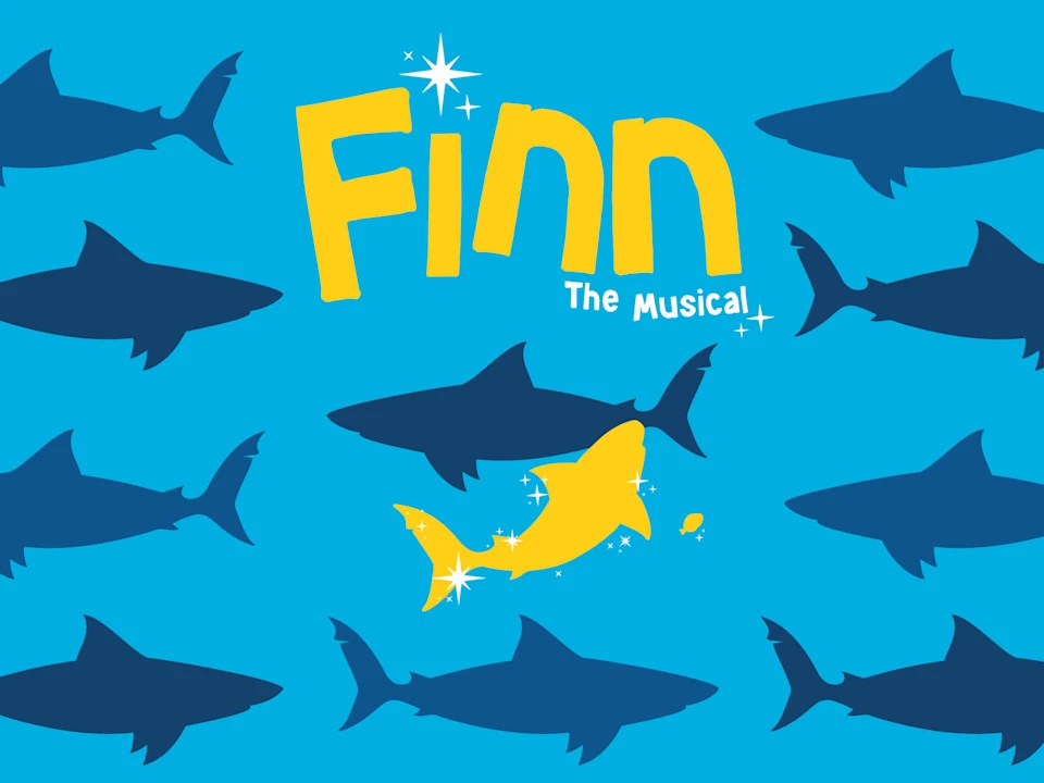 Finn: What to expect - 1