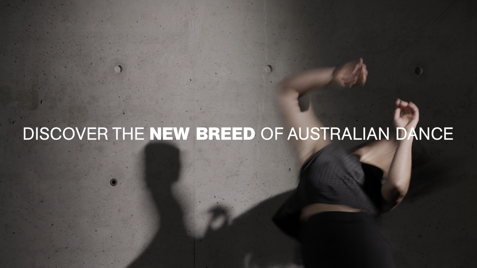 New Breed 2025: What to expect - 1