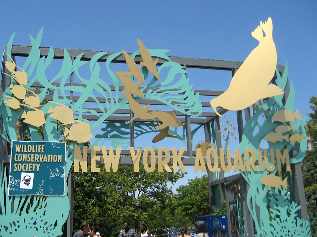 july 4th new york aquarium tickets