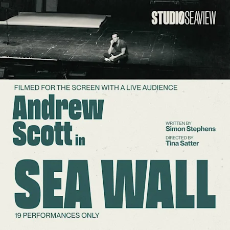 Sea Wall