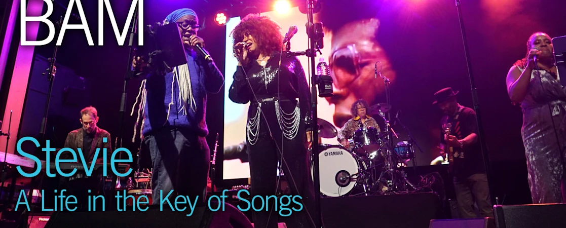 Stevie: A Life in the Key of Songs