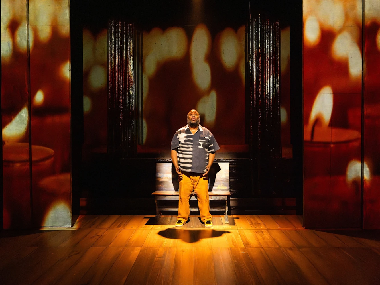 How Shakespeare Saved My Life - Joseph Papp Free First Performance Accessible Lottery: What to expect - 10
