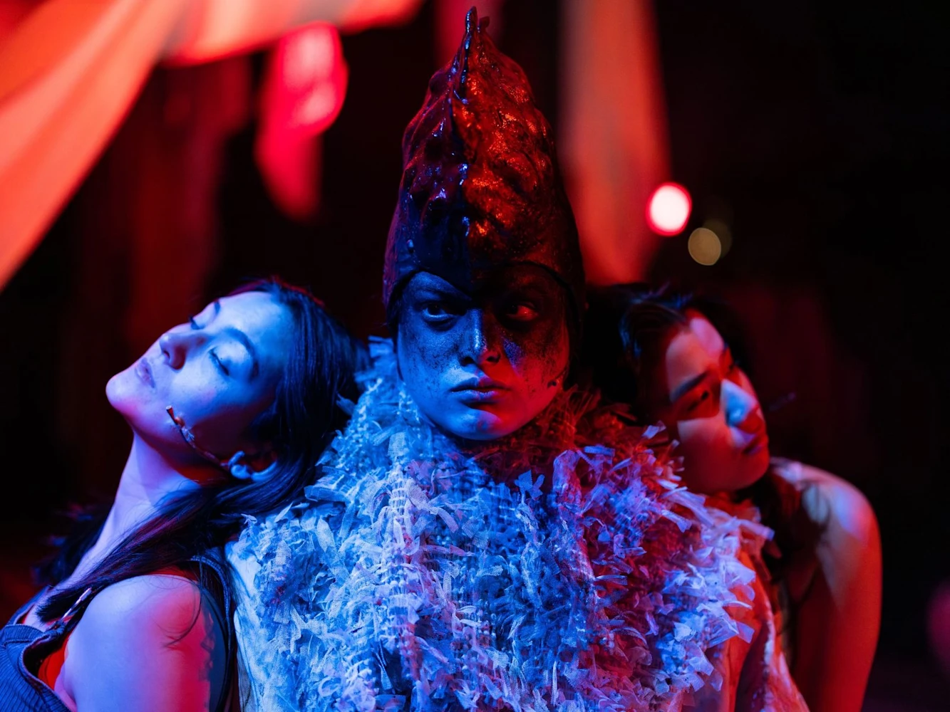 White Rooster: What to expect - 6