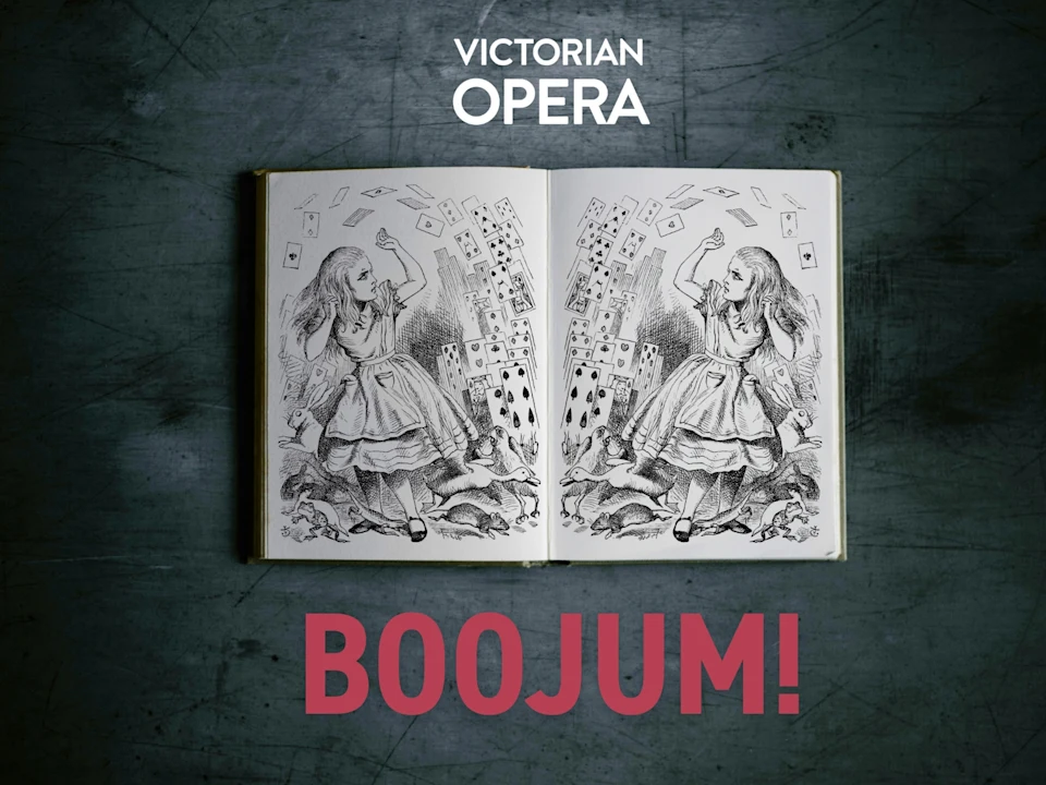 Boojum!: What to expect - 1