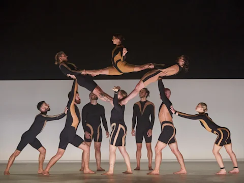 Wolf: What to expect - 3