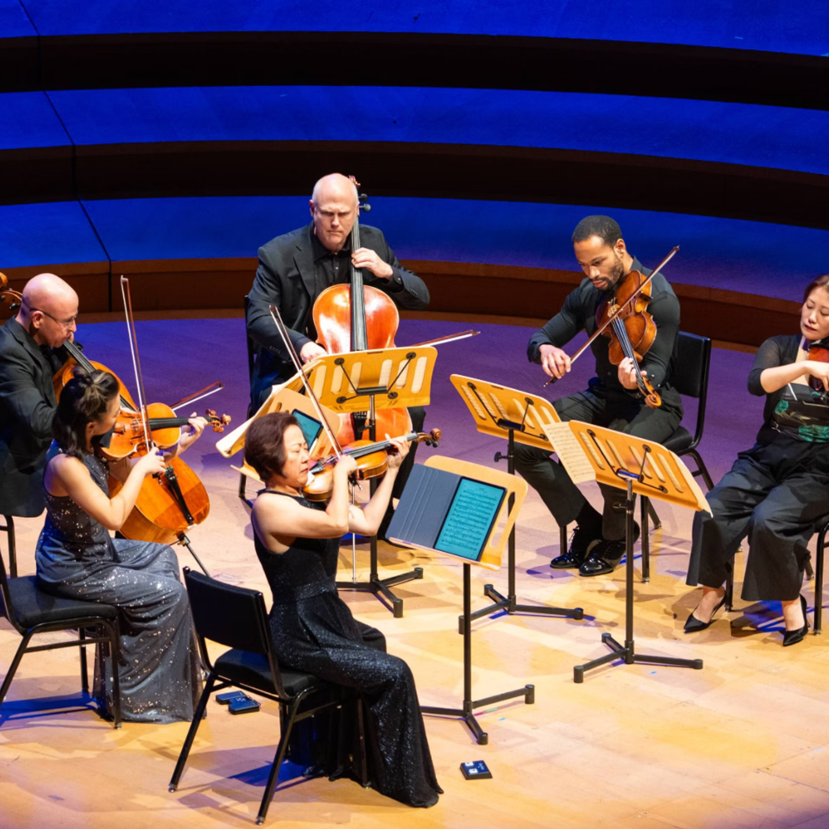 Chamber music & wine