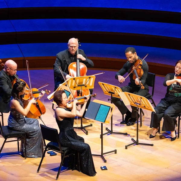 Chamber music & wine