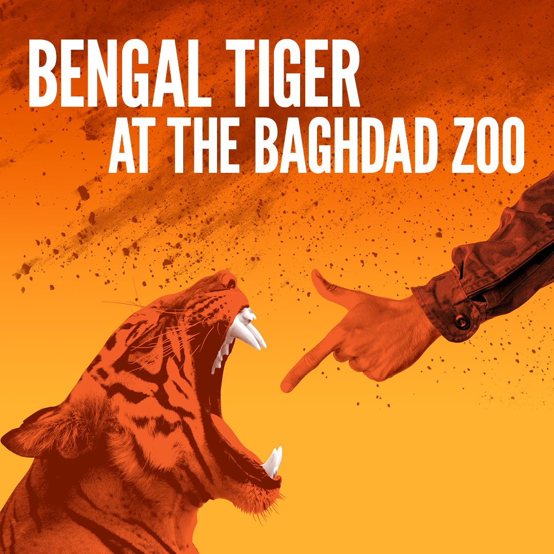 Bengal Tiger at the Baghdad Zoo