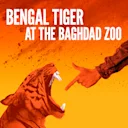 Bengal Tiger at the Baghdad Zoo