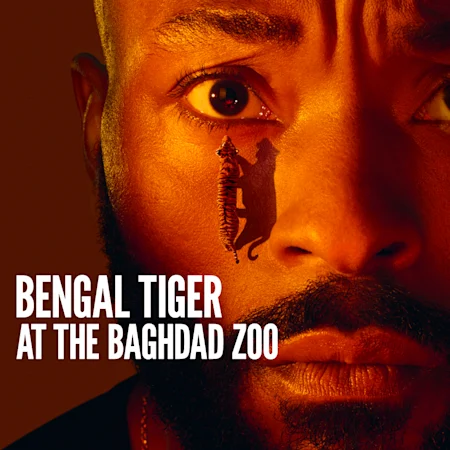 Bengal Tiger at the Baghdad Zoo