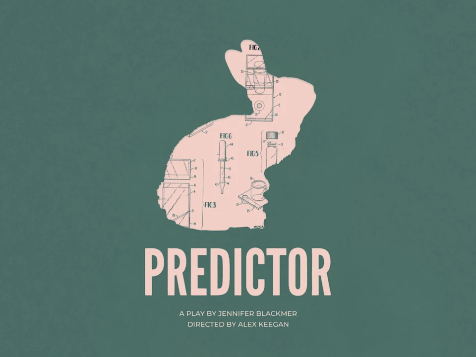 Predictor: What to expect - 1