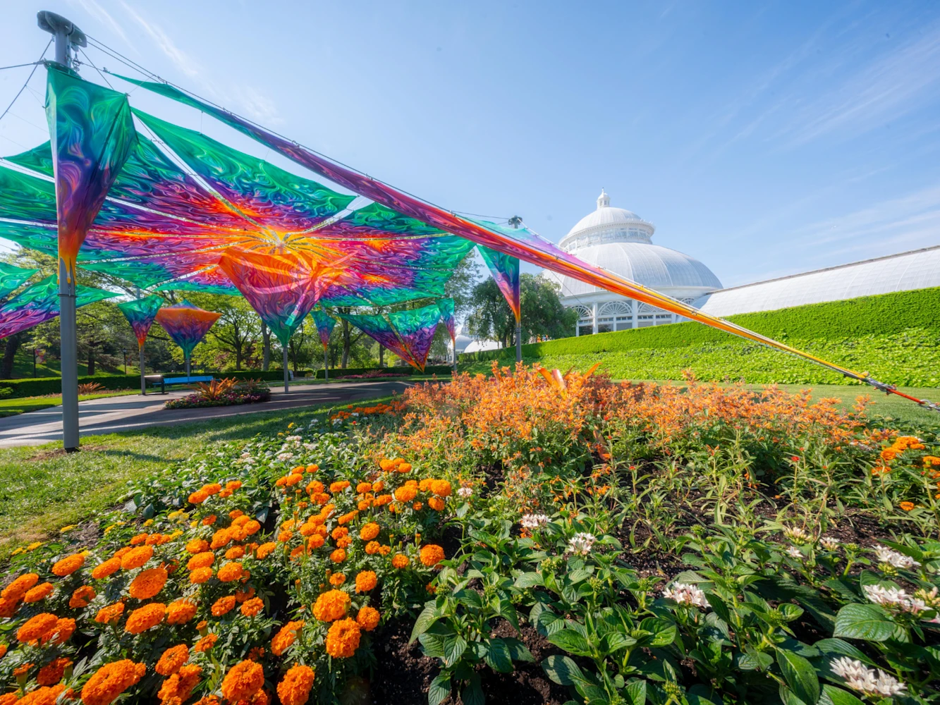 Flower Power: What to expect - 7