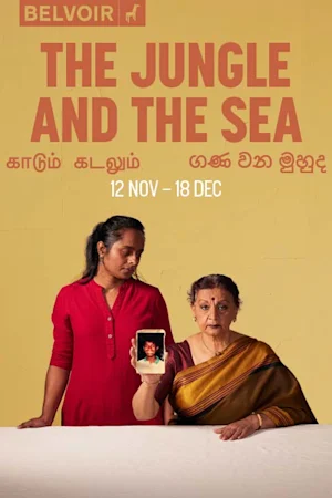 The Jungle and the Sea at Belvoir Tickets