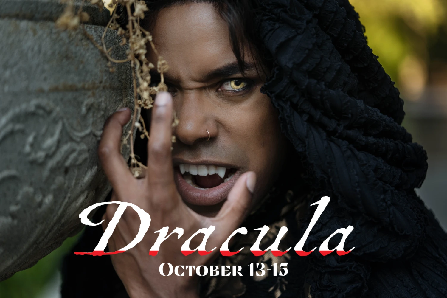 Dracula: What to expect - 1
