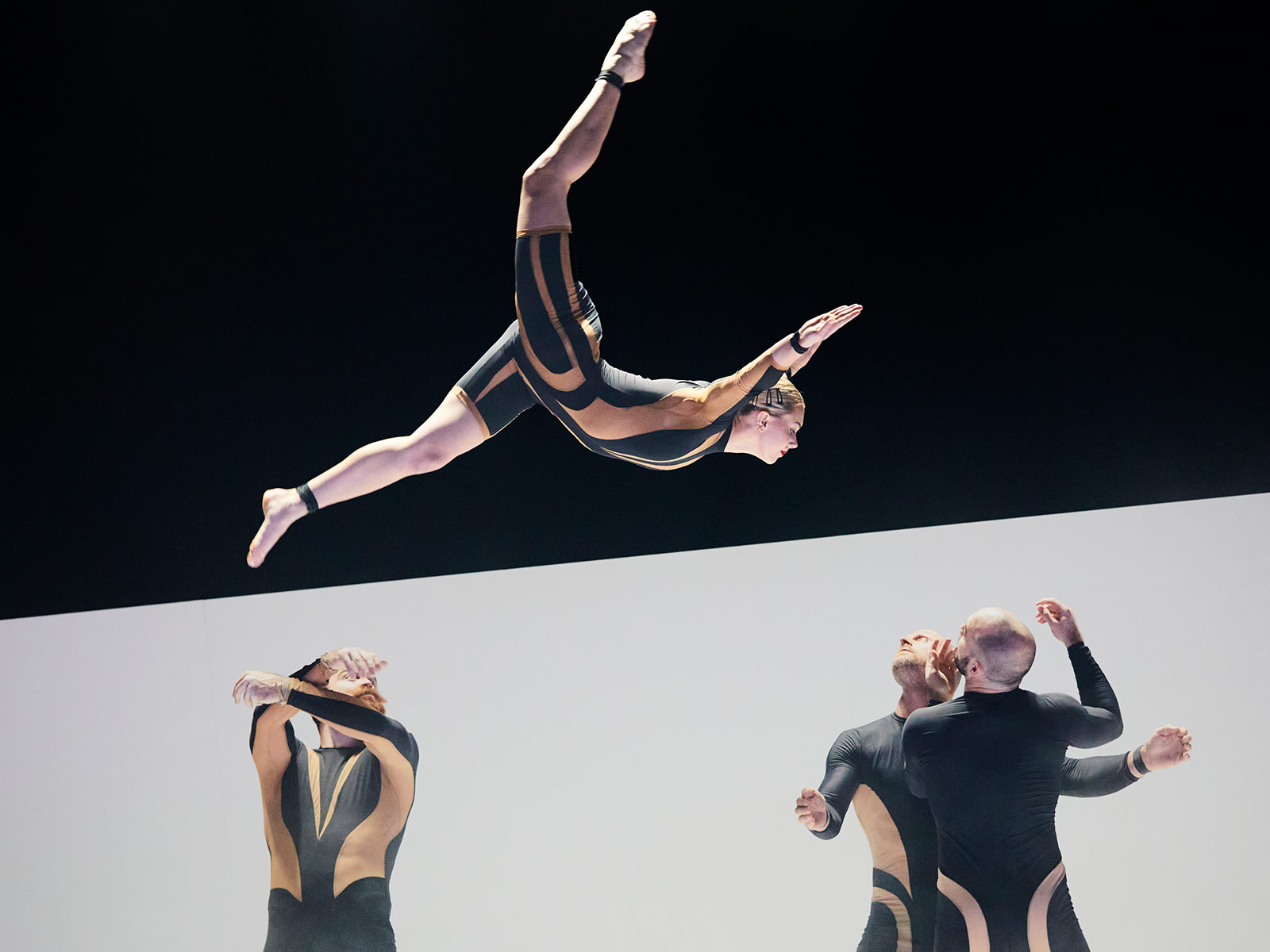 Wolf: What to expect - 5