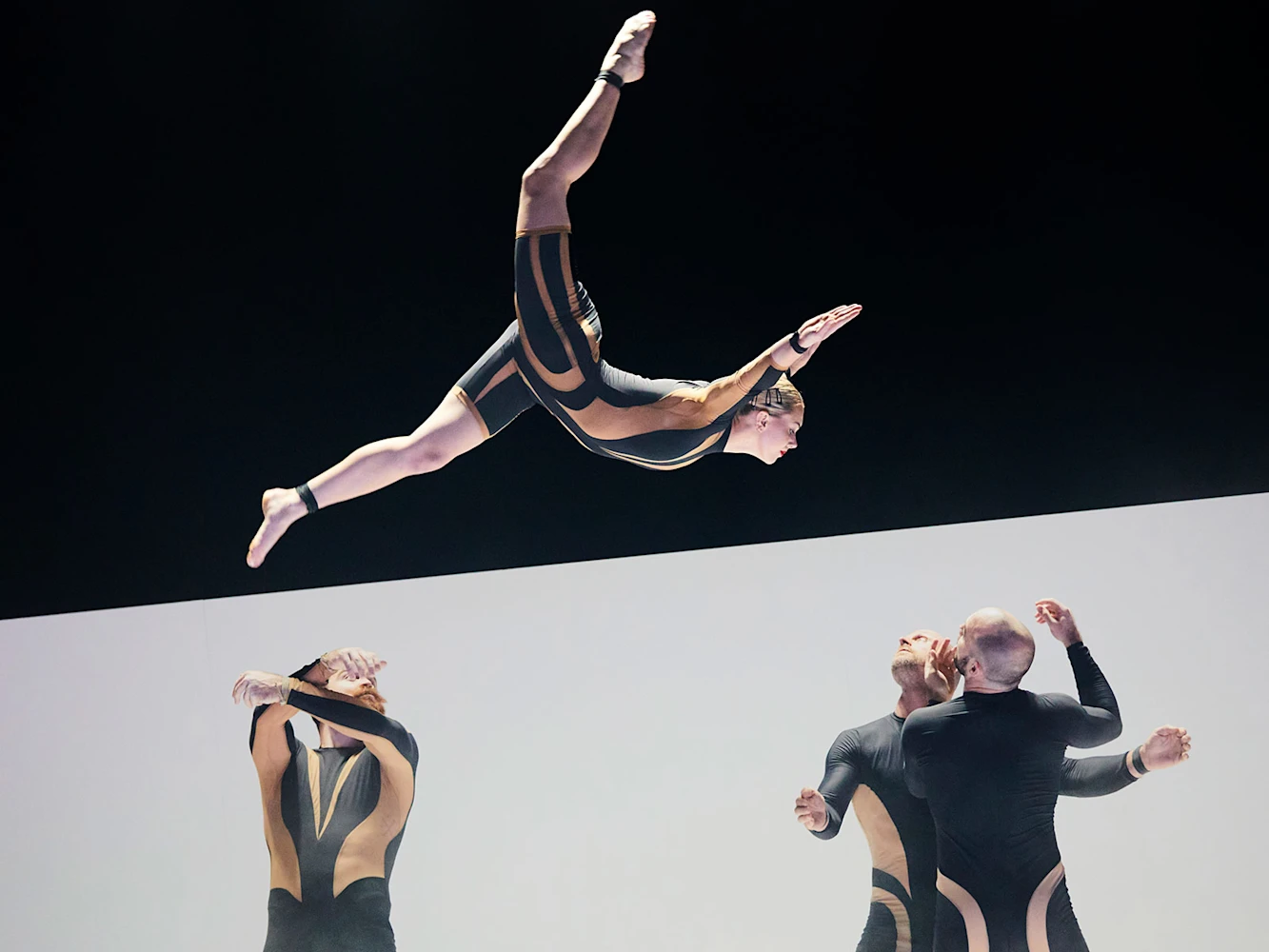 Wolf: What to expect - 5