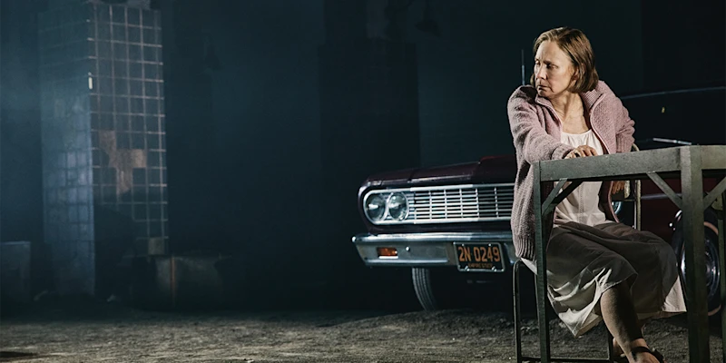 1 Tony Award win for Linda Loman