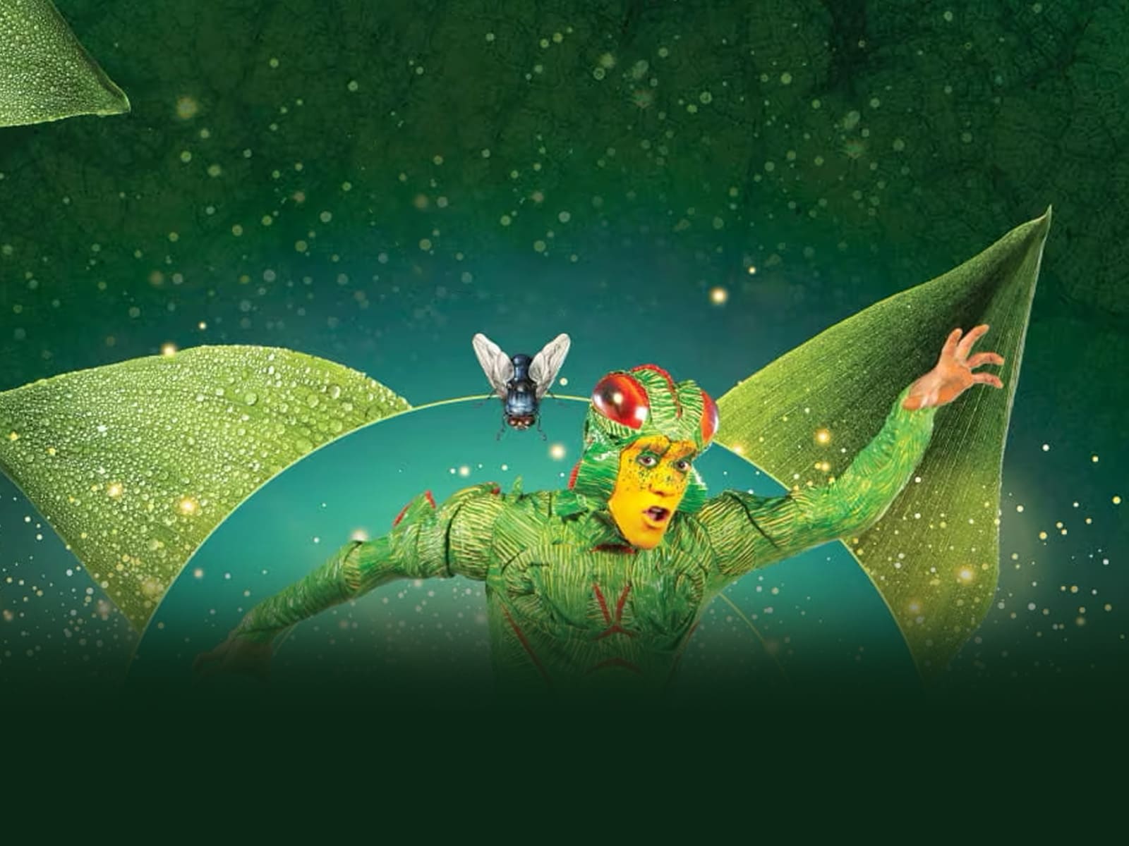 Cirque du Soleil’s OVO: What to expect - 1