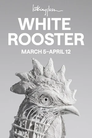 White Rooster