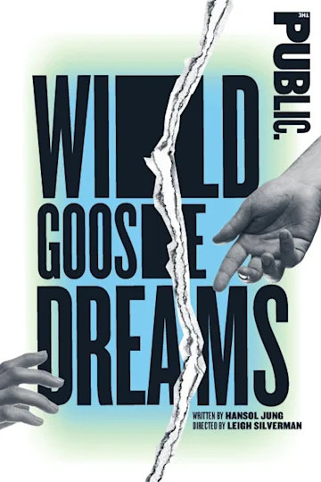 Wild Goose Dreams Tickets