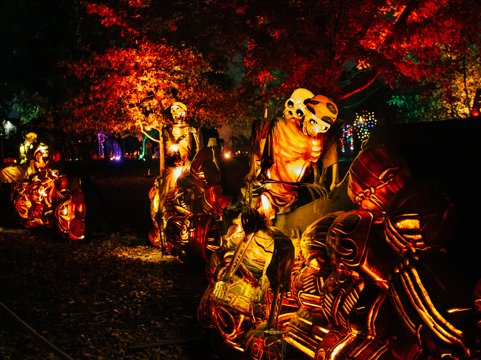 Magic of the Jack O’Lanterns: What to expect - 5