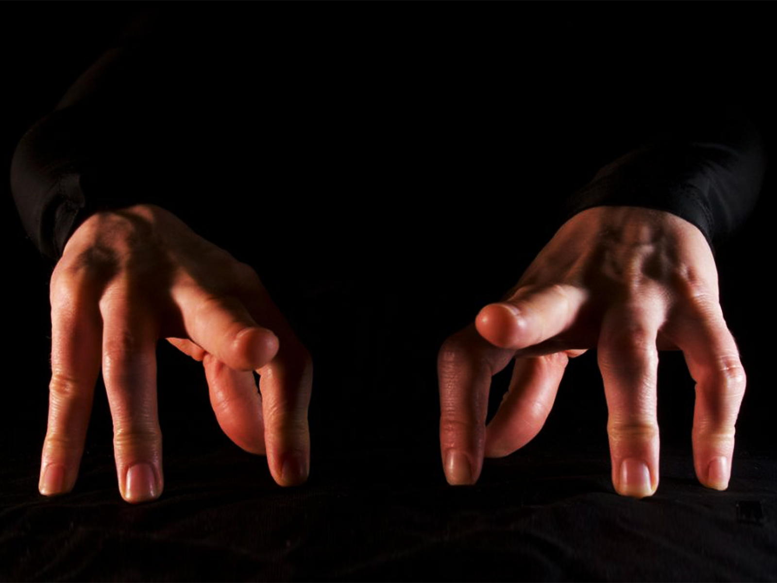 Epidermis Circus: The Weirdest Puppet Show You've Ever Seen: What to expect - 3