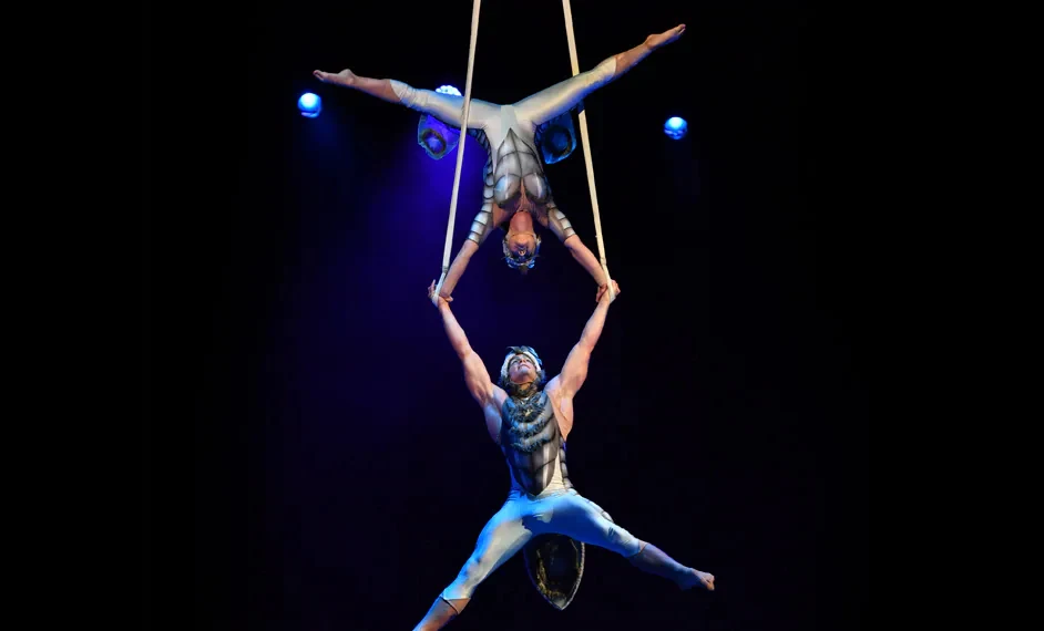 Cirque du Soleil OVO - LA + OC: What to expect - 3