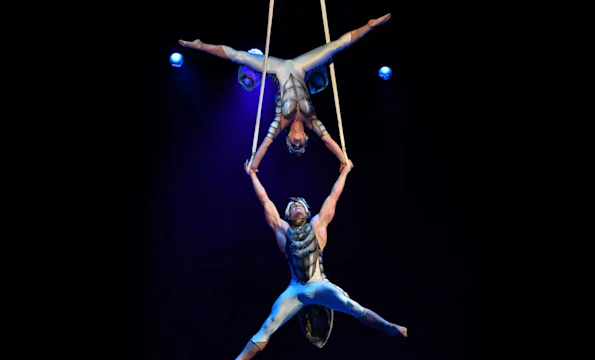 Cirque du Soleil OVO - LA + OC: What to expect - 3