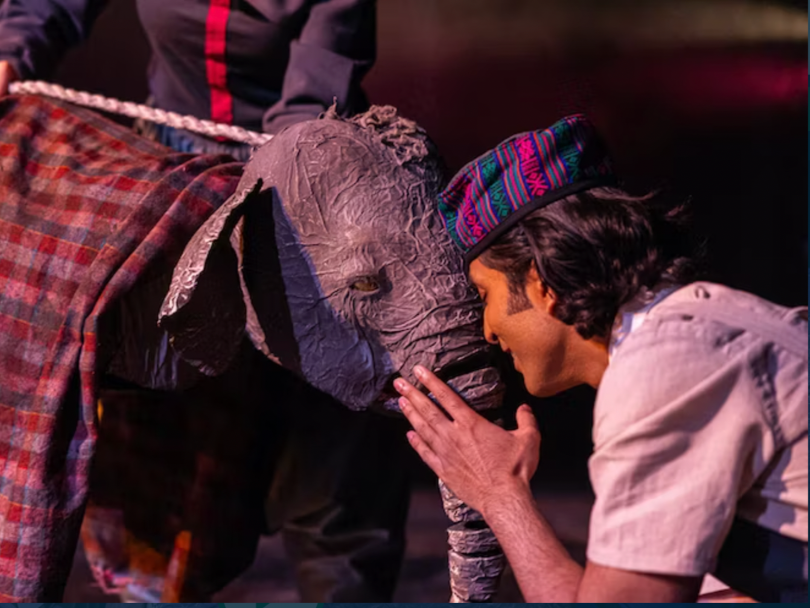 New Victory presents The Vanishing Elephant: What to expect - 5